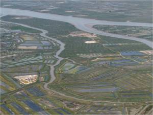 Les marais de l'estuaire de la Seudre