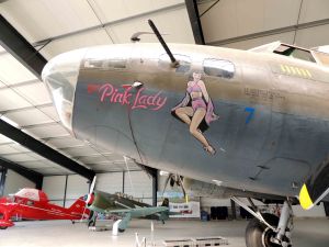 B17 Pink Lady