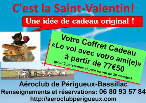 La Saint Valentin en avion