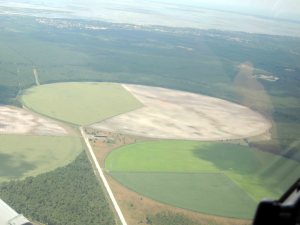 Les cultures avant la bassin d'arcachon