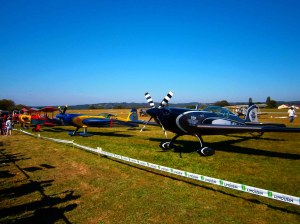 Les bêtes de la voltige