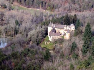 Chateau de Coulonges