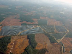 Ferme solaire dans le massif landais