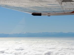 Verticale Auch le 8 novembre