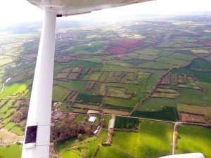 Le bocage du Poitou, qui tend à disparaitre