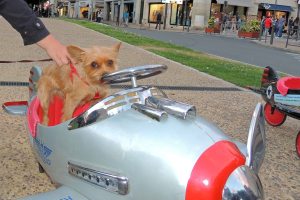 3-nuits-gourmandes-perigueux