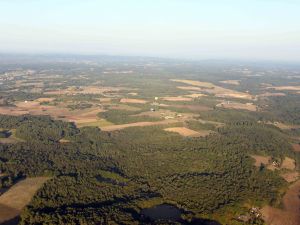 Cherchez-les-mongolfieres