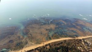 La-plage-a-maree-basse